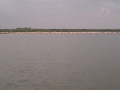 IM000956