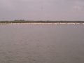 IM000957