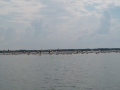 IM000967
