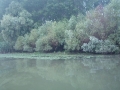 IM000962