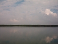 IM000973
