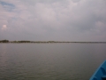 IM000981