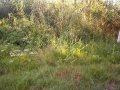 IM001011