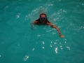 IM000767