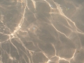 IM000257